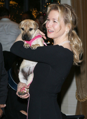 Renee Zellweger pic #986652