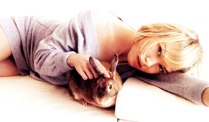 Renee Zellweger pic #137323