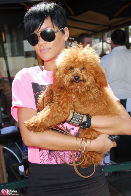 Rihanna pic #165964