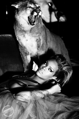 Rihanna pic #206719