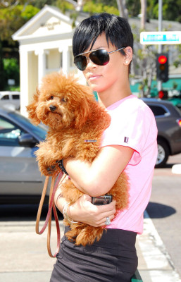 Rihanna pic #109883