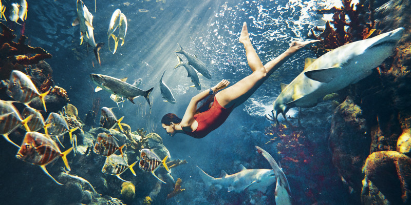Rihanna pic #758485
