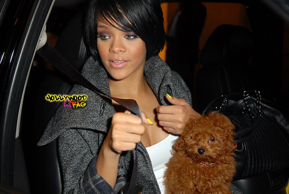 photo 28 in Rihanna gallery [id122382] 2008-12-26 00:00:00