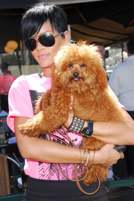 Rihanna pic #423452
