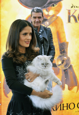 Salma Hayek pic #407809