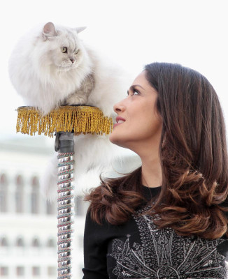 Salma Hayek pic #407393