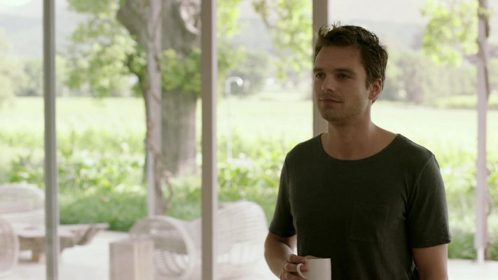 Sebastian Stan pic #742244