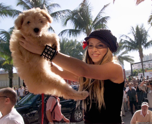 photo 19 in Shakira gallery [id583822] 2013-03-17 00:00:00