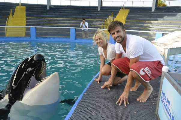 photo 18 in Shakira Mebarak gallery [id583823] 2013-03-17 00:00:00