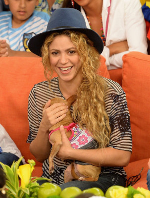 photo 16 in Shakira gallery [id718618] 2014-07-22 00:00:00