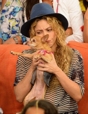 Shakira Mebarak pic #718625