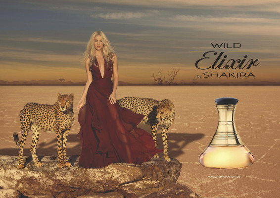 Shakira Mebarak pic #615733