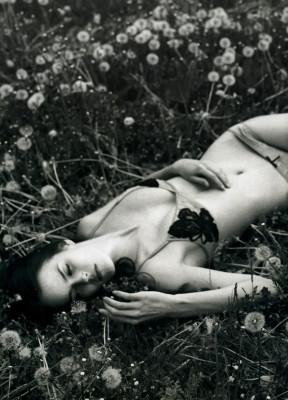 Shannan Click pic #174405