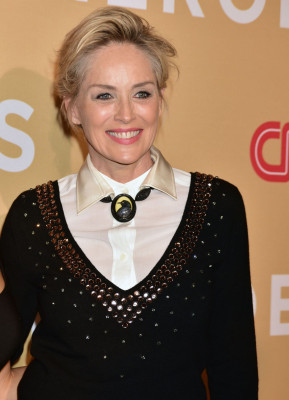 photo 21 in Sharon Stone gallery [id813307] 2015-11-19 00:00:00