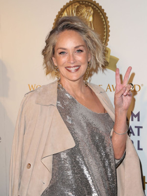 photo 25 in Sharon Stone gallery [id935369] 2017-05-22 00:00:00
