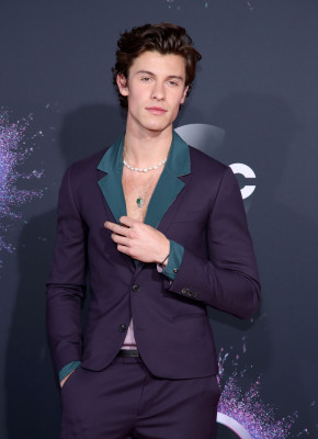 Shawn Mendes pic #1191456