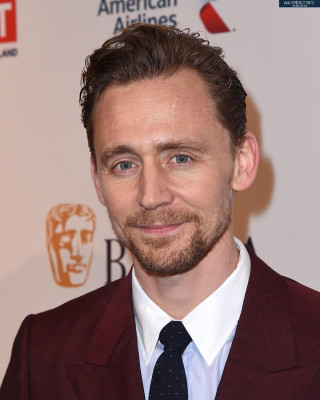 Tom Hiddleston pic #916237