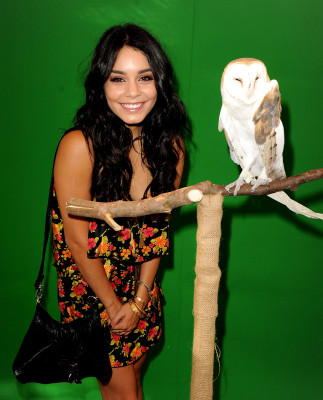 Vanessa Hudgens pic #302243