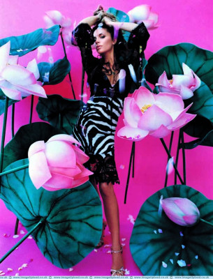 Victoria Beckham pic #627470