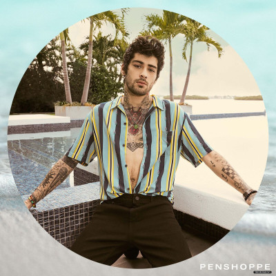 photo 6 in Zayn Malik gallery [id1111458] 2019-03-02 00:00:00