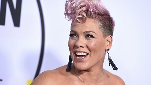 Singer Pink got a pet from a shelter
