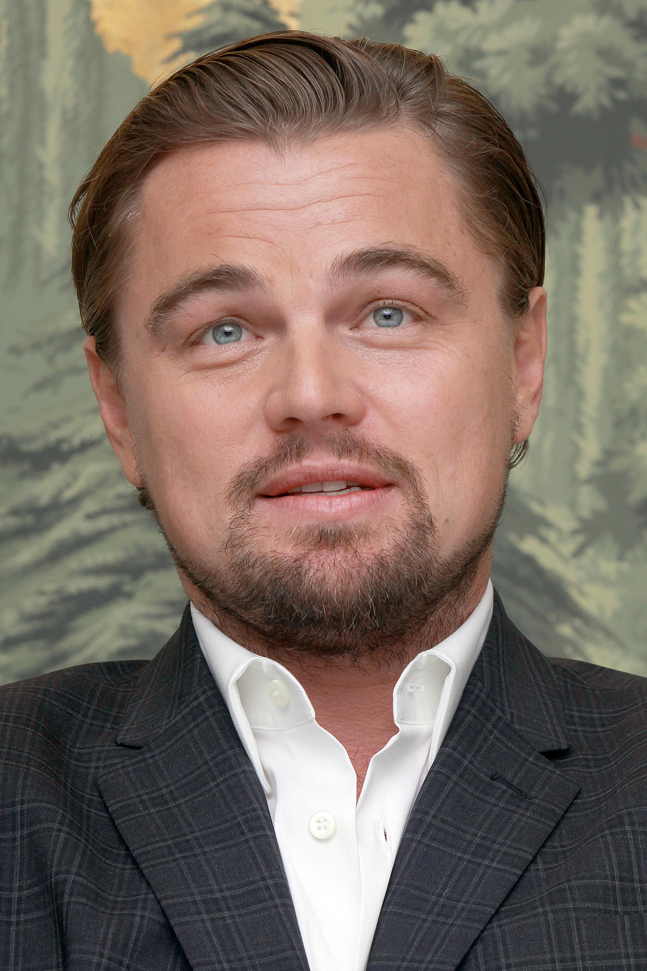 Leonardo DiCaprio, photo #774218
