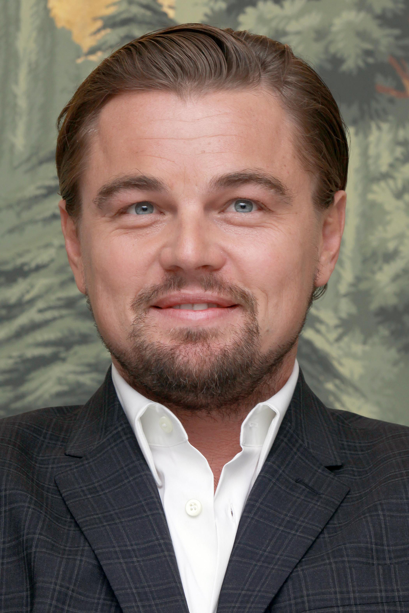 Leonardo DiCaprio, photo #774222
