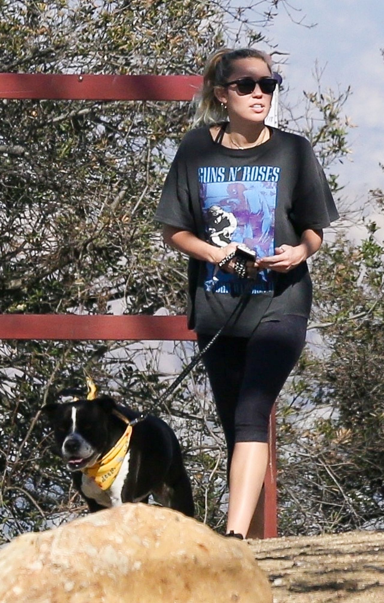 Miley Cyrus, photo #1002423
