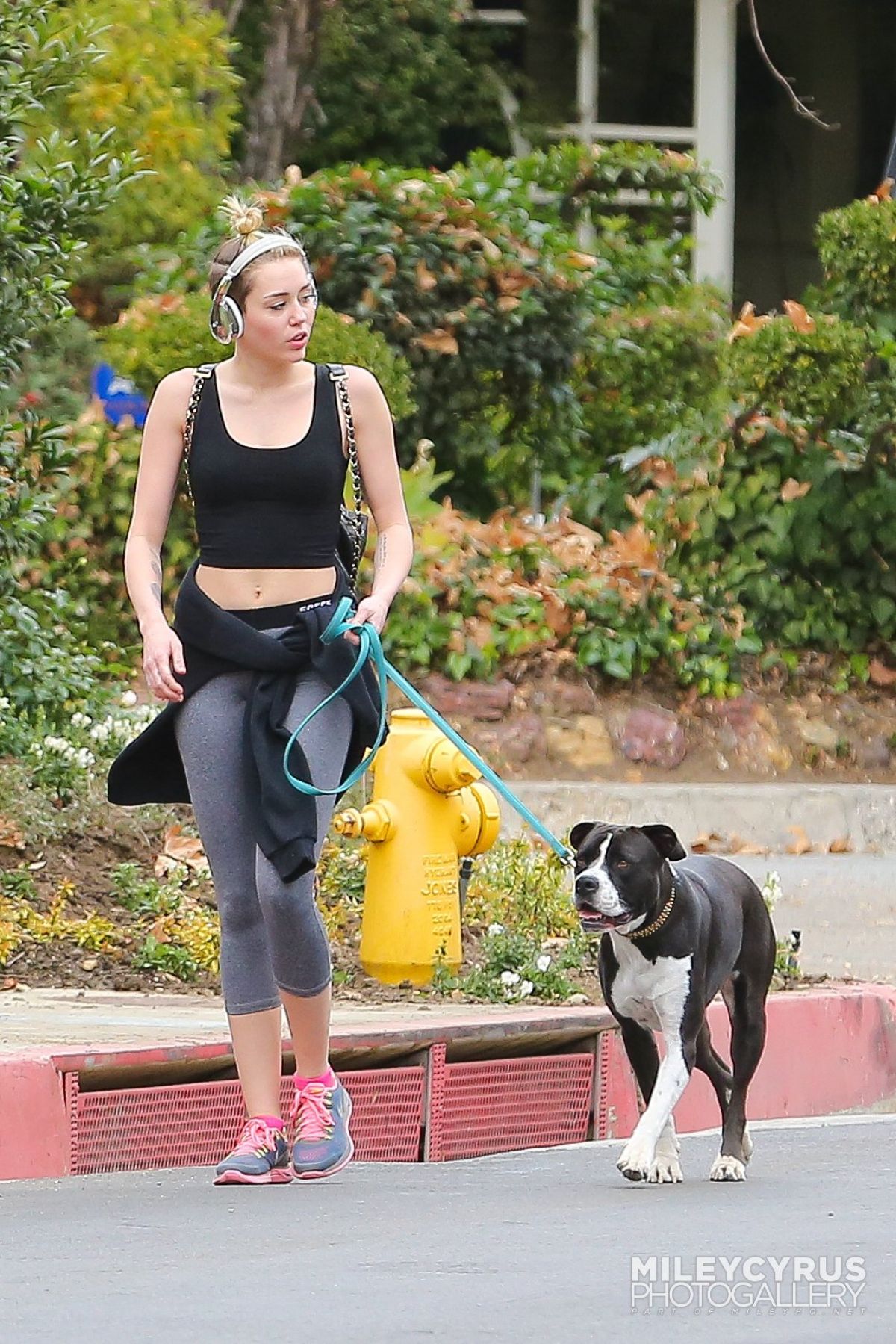 Miley Cyrus, photo #661082