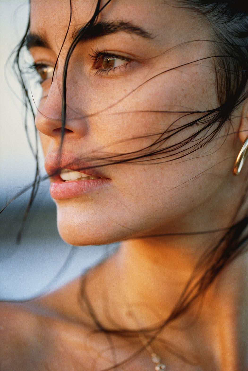 Sarah Stephens, photo #1030772