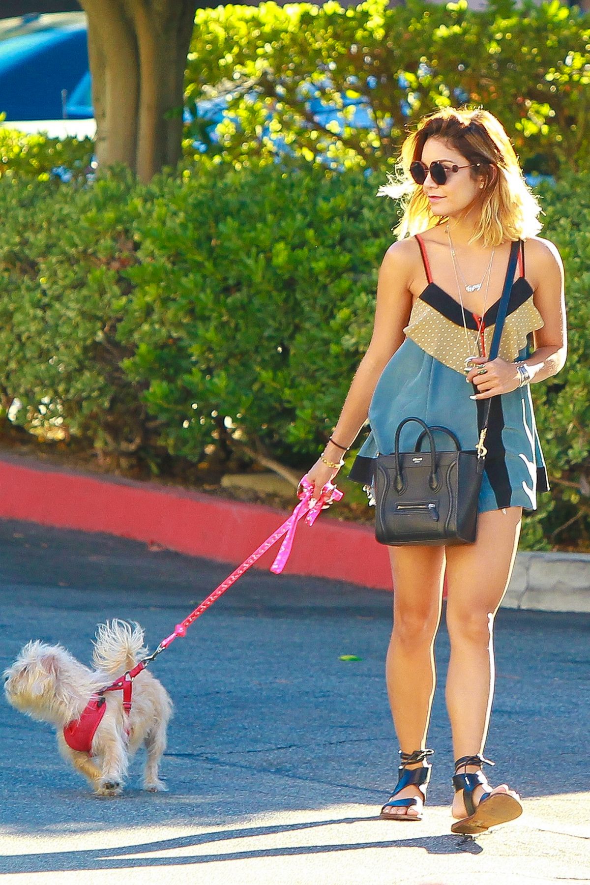 Vanessa Hudgens, photo #723867