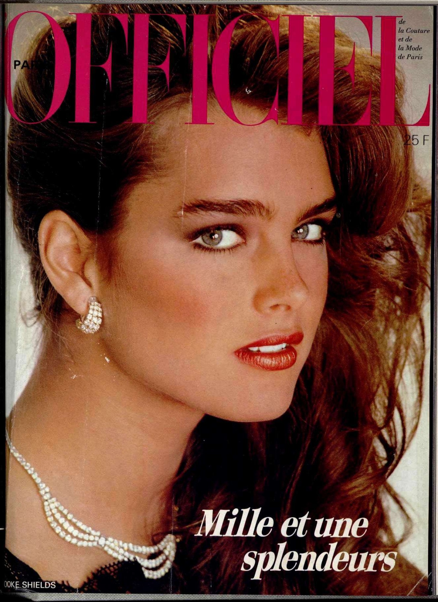 brooke shields 2000