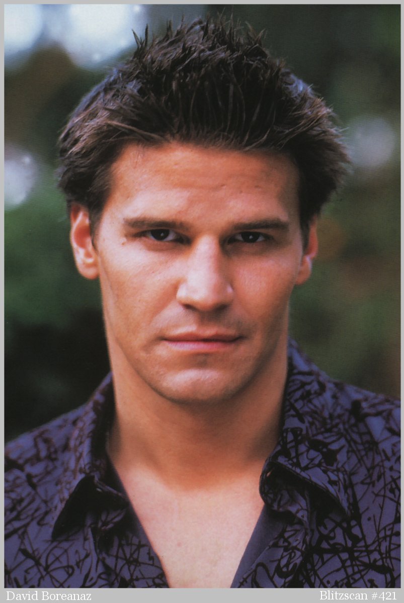 David Boreanaz photo 31 of 499 pics, wallpaper - photo #68007 - ThePlace2