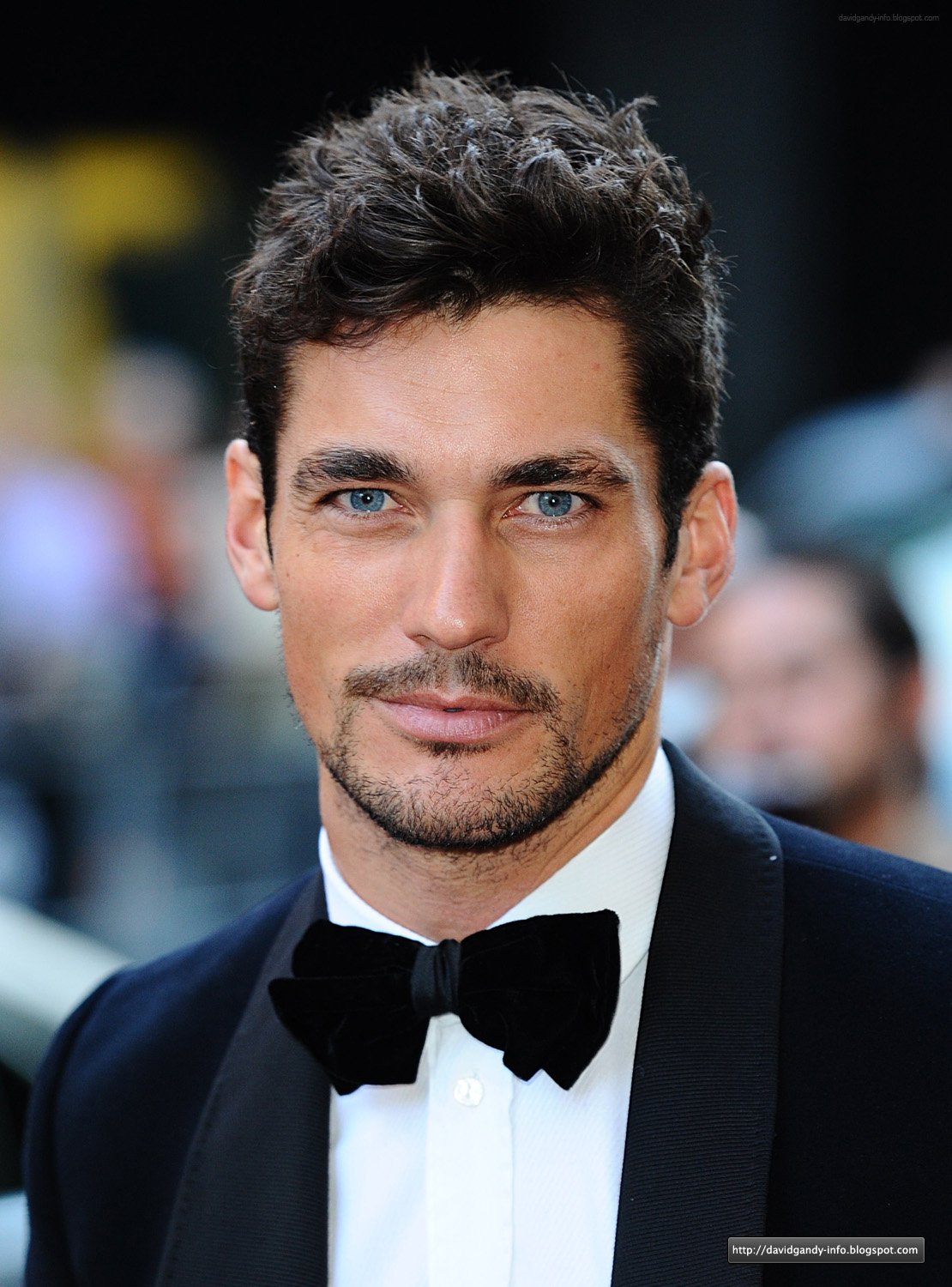 David Gandy photo 489 of 810 pics, wallpaper - photo #536643 - ThePlace2