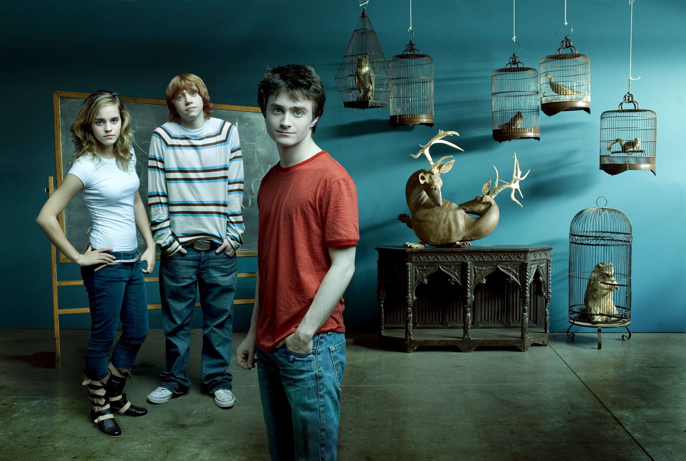 Potter series