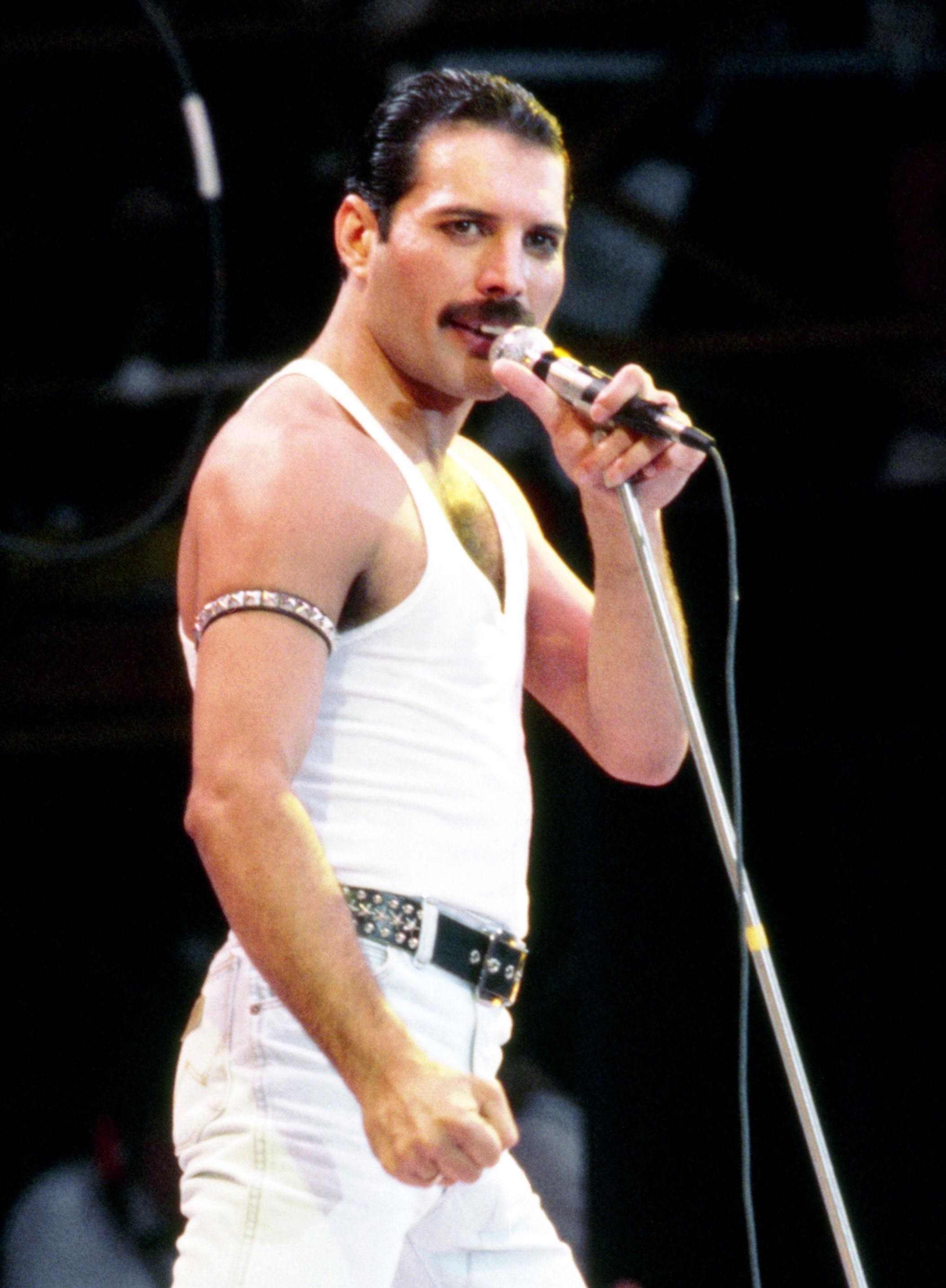 Freddie Mercury photo 238 of 936 pics, wallpaper - photo #683685 ...