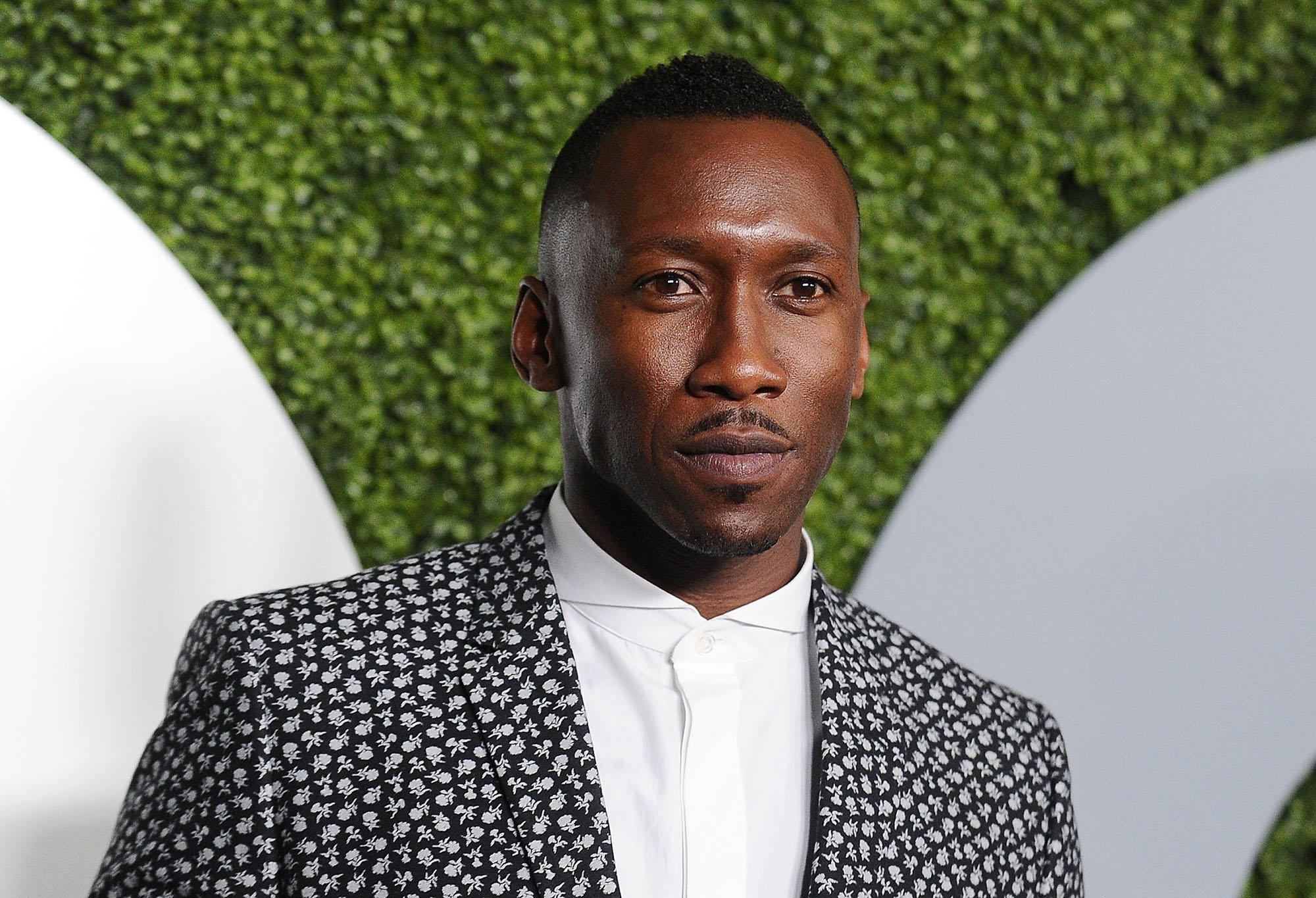 Mahershala Ali Photo Gallery 1 High Quality Pics Theplace