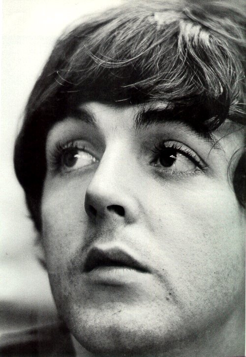 Paul McCartney photo 7 of 41 pics, wallpaper - photo #191465 - ThePlace2