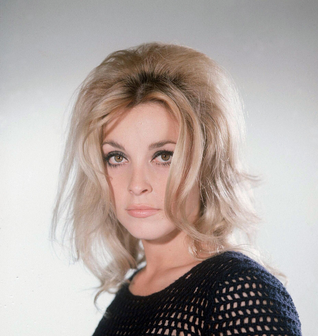 Sharon Tate photo 39 of 98 pics, wallpaper - photo #278503 - ThePlace2