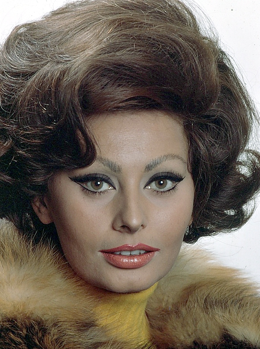 Next photo of Sophia Loren