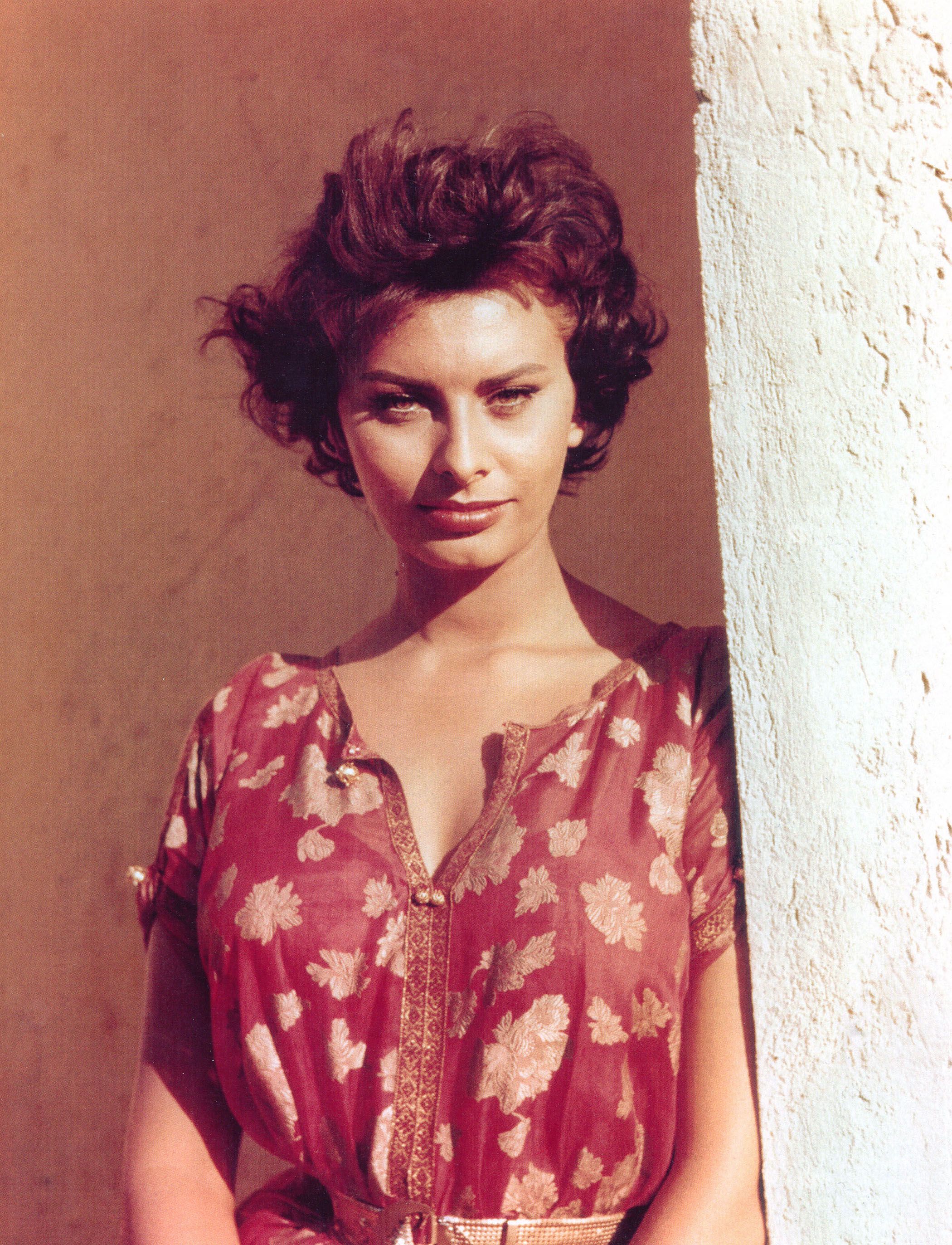 Sophia Loren photo 501 of 929 pics, wallpaper - photo #374249 - ThePlace2