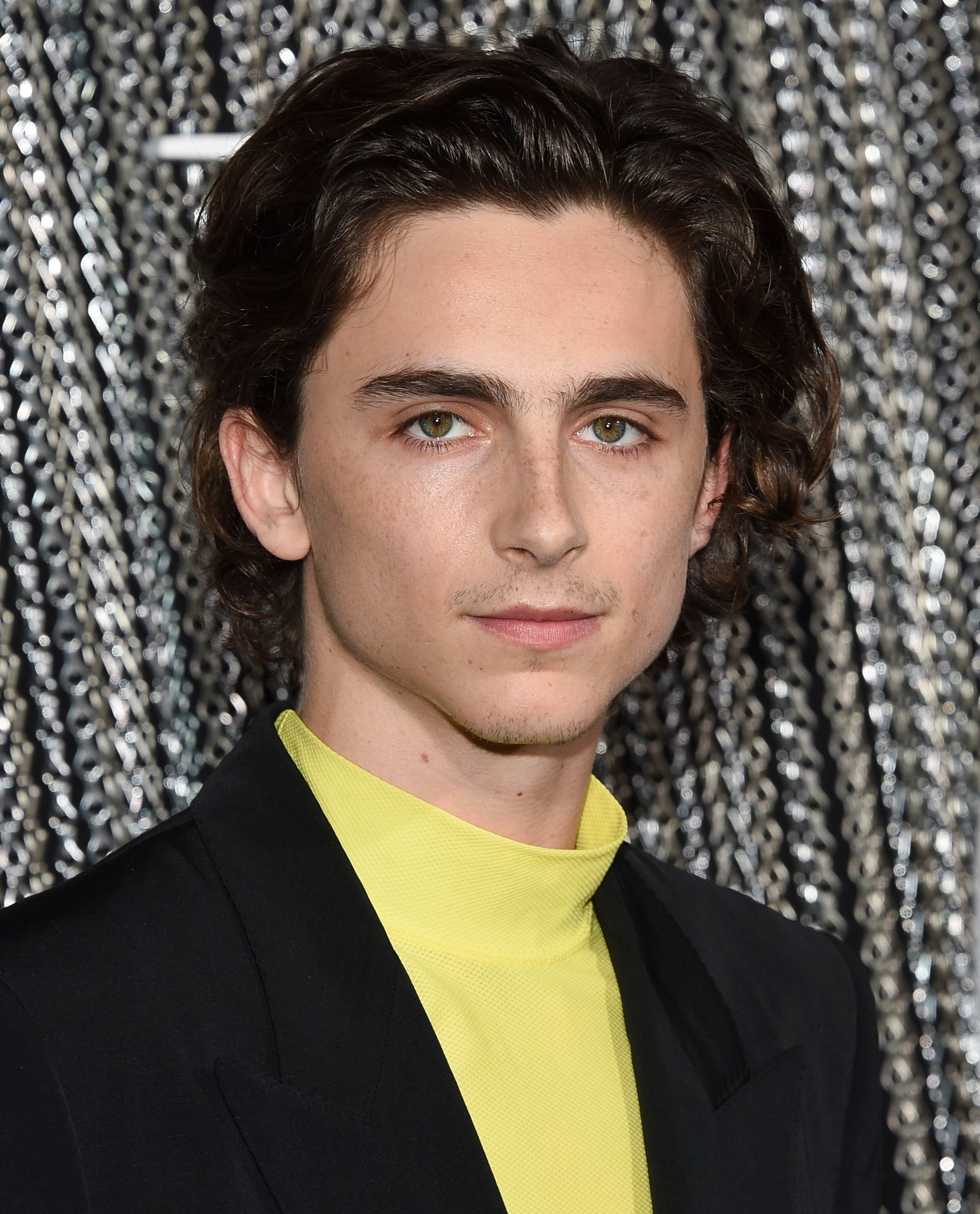 Timothee Chalamet photo 976 of 1483 pics, wallpaper - photo #1308618 ...