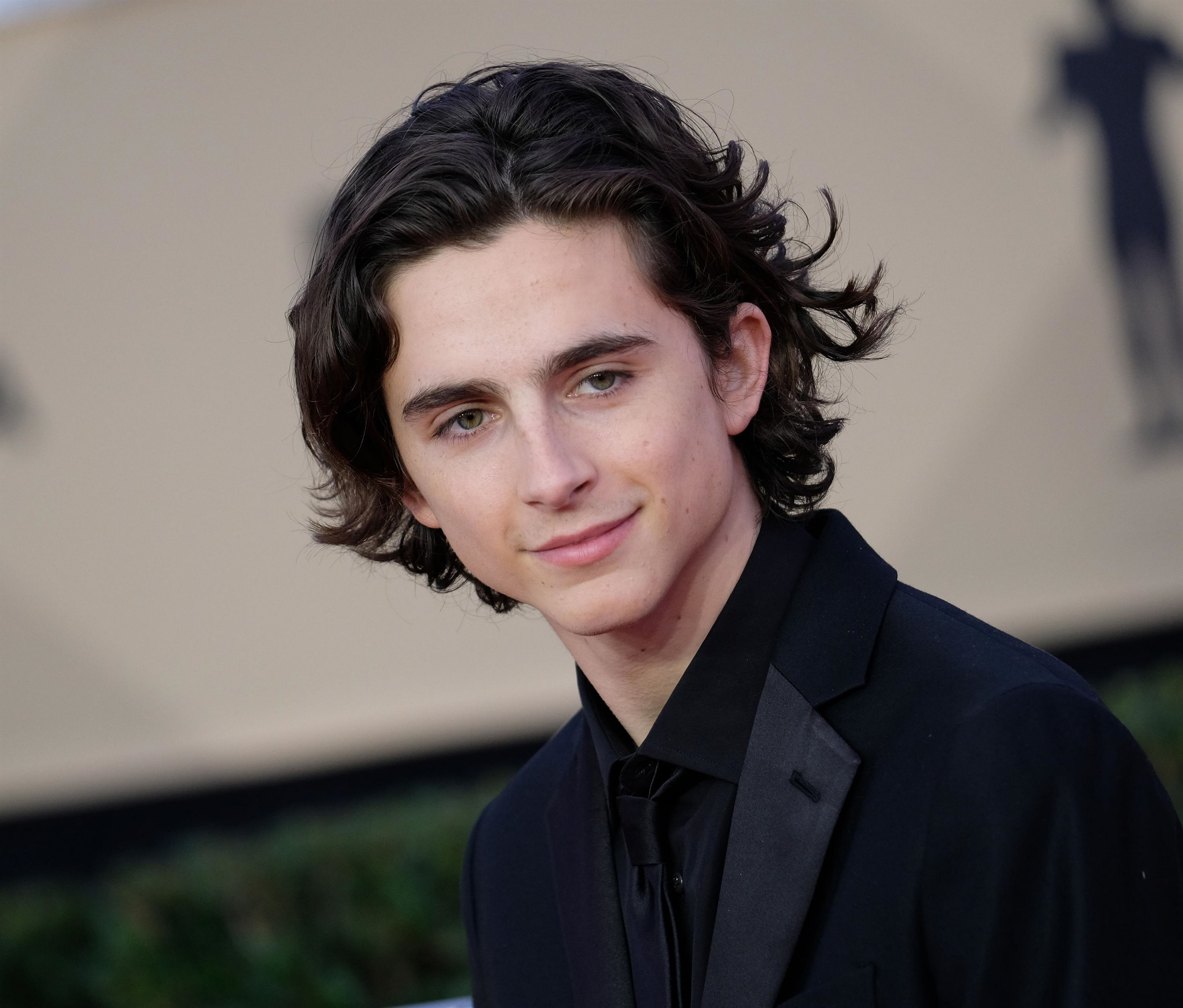 Timothee Chalamet photo 1003 of 1486 pics, wallpaper photo 1309266