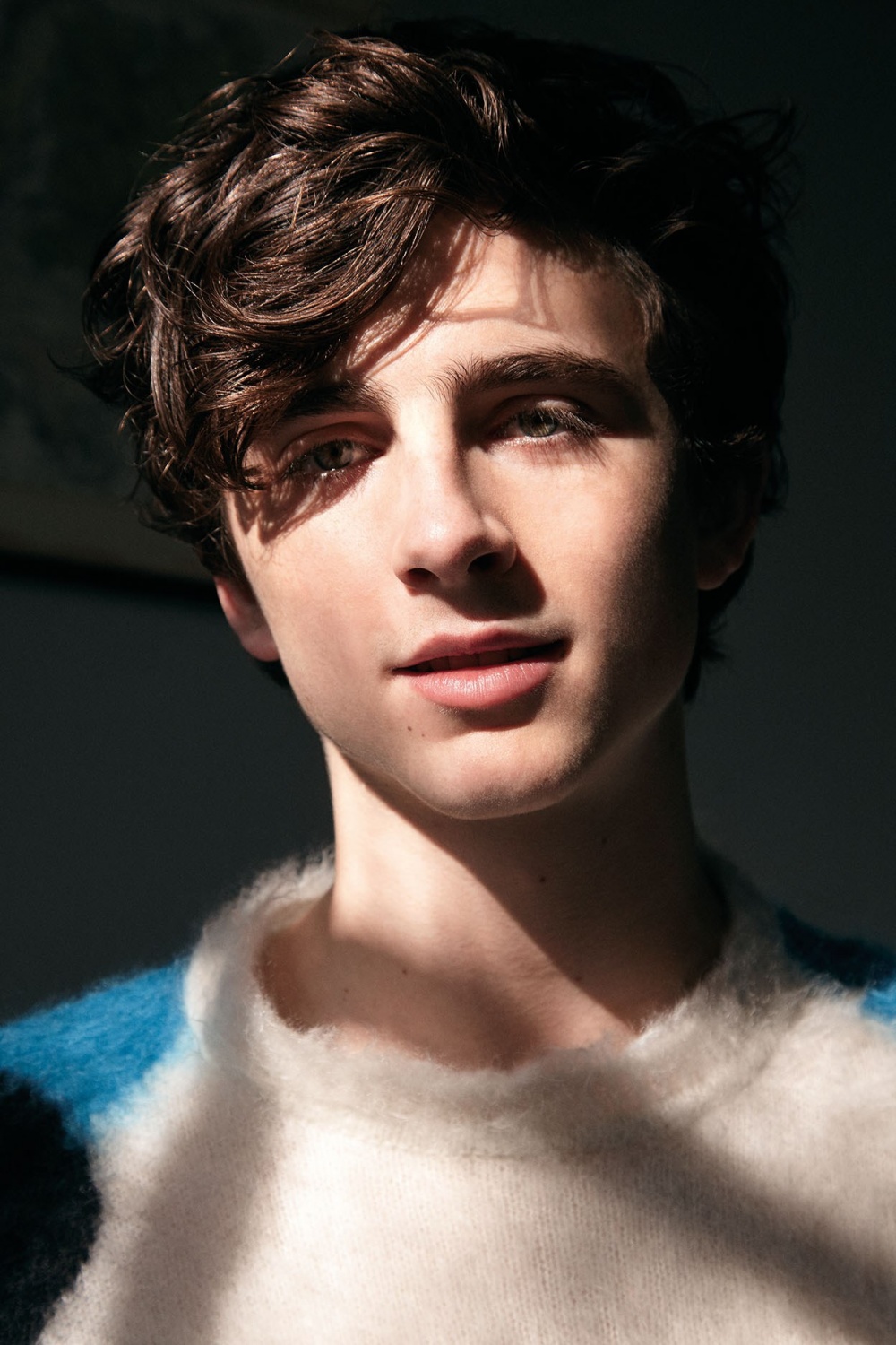 Timothee Chalamet PFP