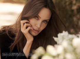 photo 23 in Angelina Jolie gallery [id1270890] 2021-09-20