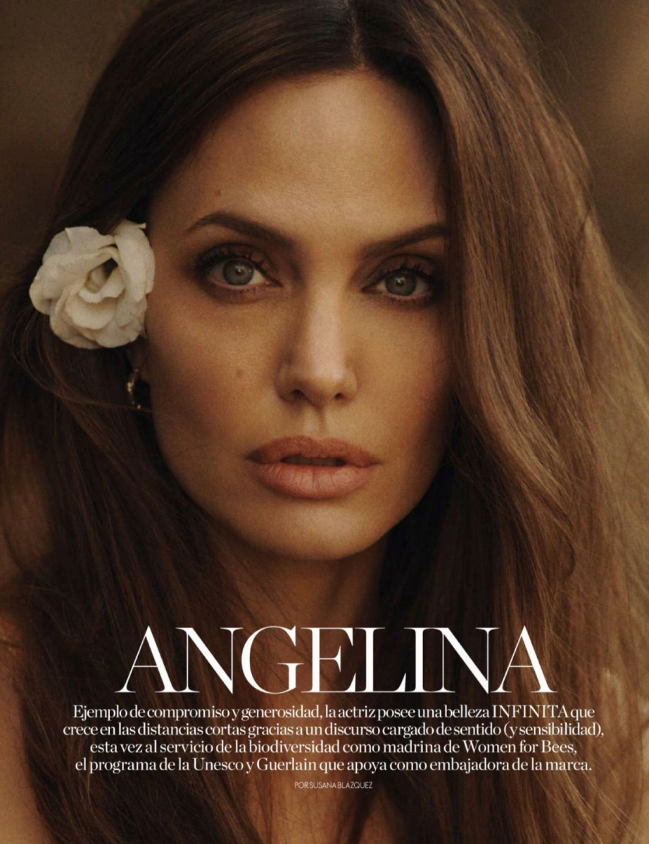 Angelina Jolie: pic #1274962