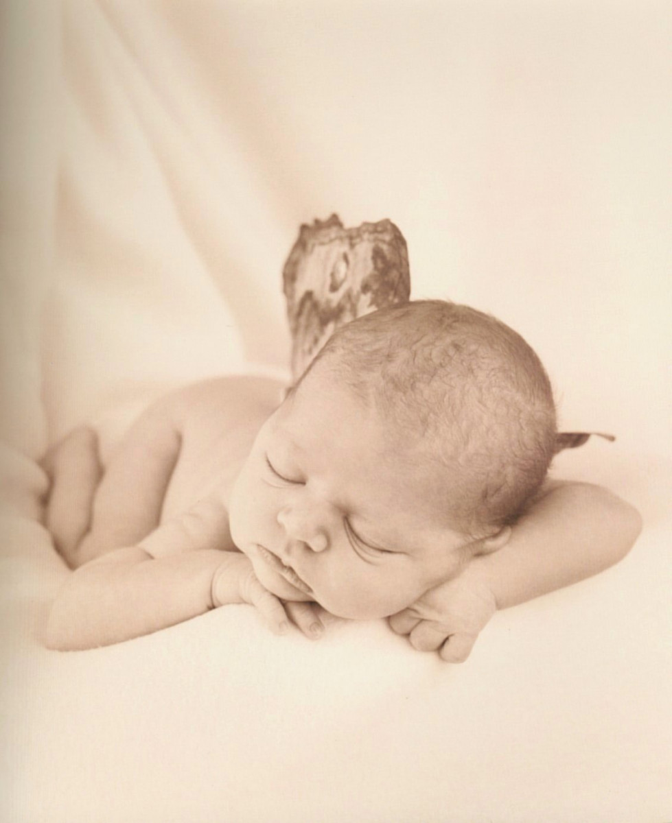 Anne geddes фотографии