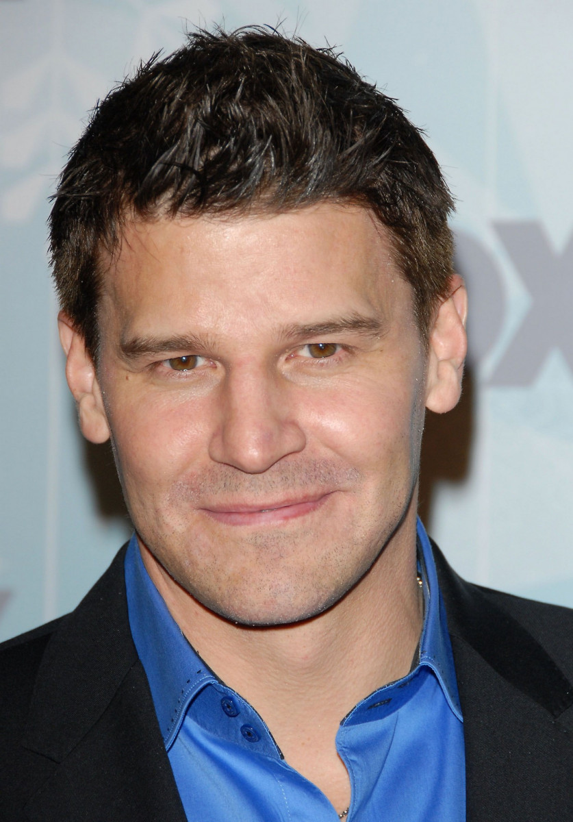 David Boreanaz photo 145 of 499 pics, wallpaper - photo #676808 - ThePlace2