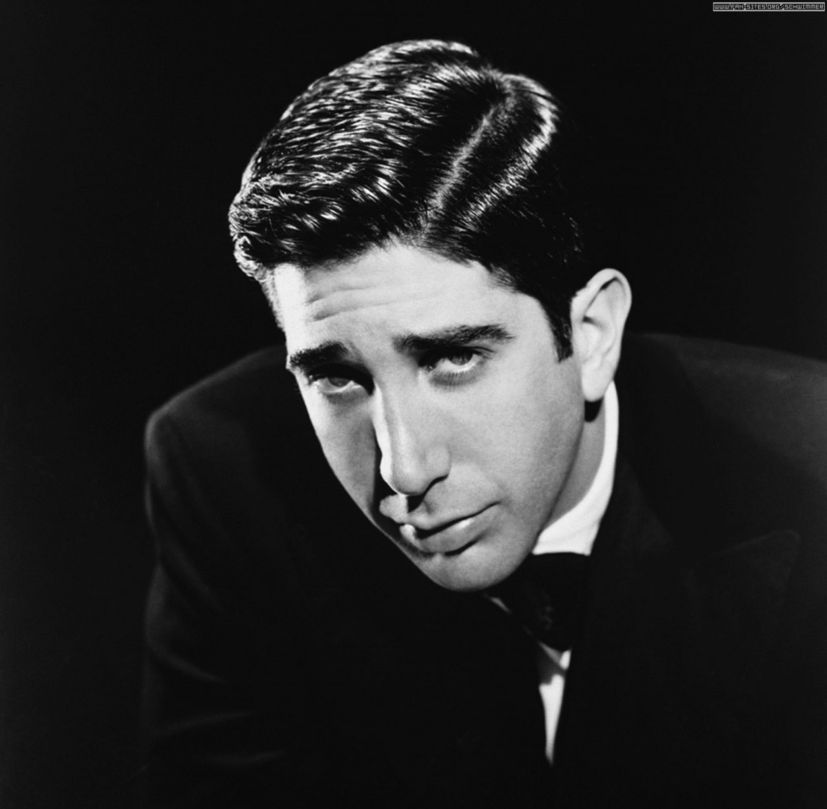 David Schwimmer photo 4 of 23 pics, wallpaper - photo #88350 - ThePlace2