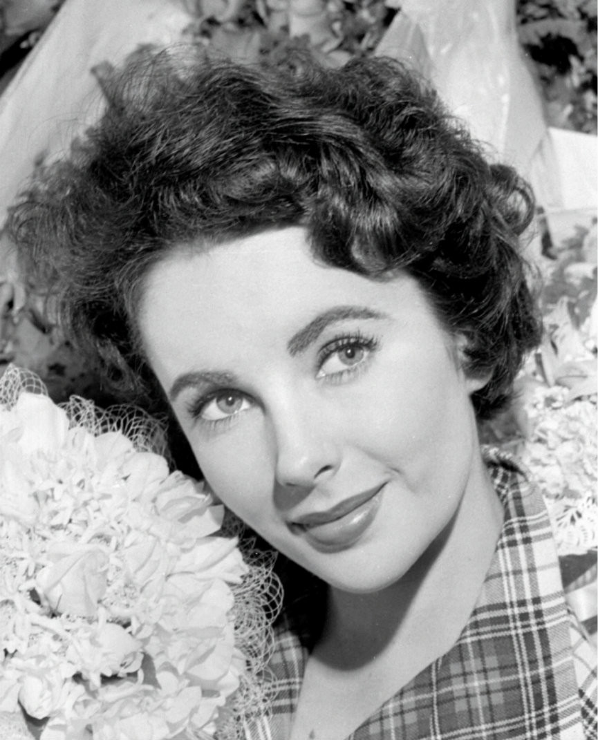 Elizabeth Taylor photo 496 of 988 pics, wallpaper - photo #375934 ...